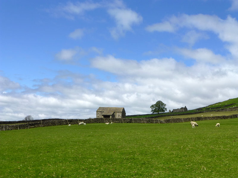 Wise House Grassington